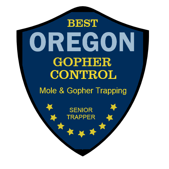 cropped-GOPHER-BADGE-BLUE-WHITE-BACKGROUND.png